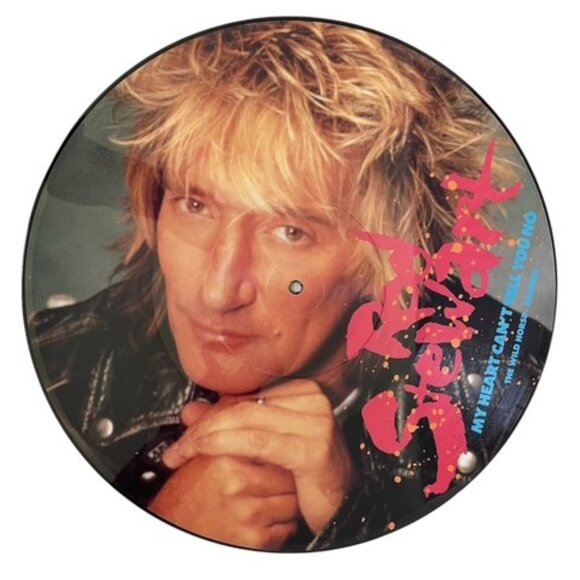 ROD STEWART PICTURE DISC Vinal Album Record, Collectible Music, British Rock 12" - Picture 1 of 4